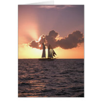 Sailing (blank card)