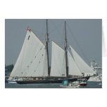 Sailing Boat in Norfolk Cards