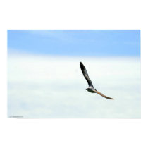 Sailing - Customized posters by MRNot01 Sailing - Customized posters