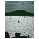 Sailing In Auckland Harbor, North Island flyers