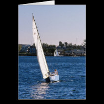 Sailing in San Diego Harbor cards