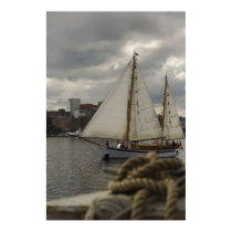 Sailing In The Harbour Print