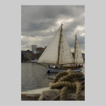 Sailing In The Harbour Print posters