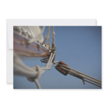 Sailing Jib