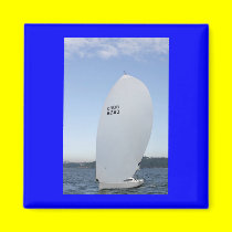 Sailing magnet magnets
