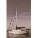 sailing oceanside photo sculptures