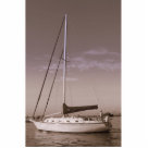 stand_ps - photography by ellenaldesigns
