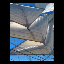 Sailing Ship Sail Postcard postcards