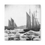 Sailing Ships in an Ice Field - 1869 Photo Fridge Magnets