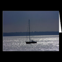 Sailing Solo Travel Card cards