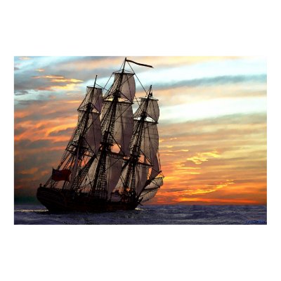 sailing towards sunset posters by seawolf