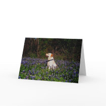 Sailor & Bluebonnets cards by heididunlop Sailor & Bluebonnets cards