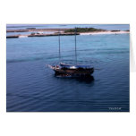 Sailor  Savruga  Greeting Card