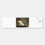 Saint Andre Cheese Bumper Stickers