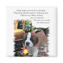 Saint Bernard Art Gifts Fridge Magnets