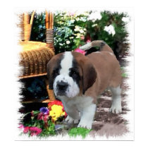 Saint Bernard Art Gifts posters by DogsByDezign Saint Bernard Art Gifts posters