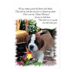 Saint Bernard Art Gifts print