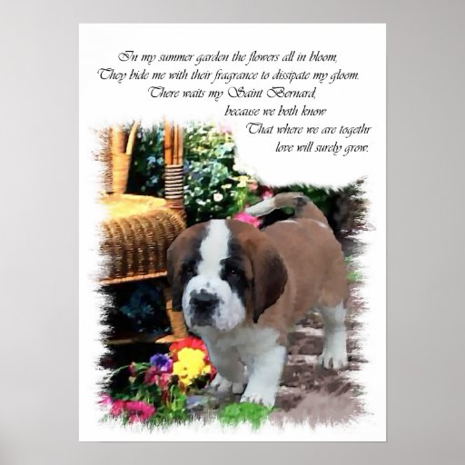 St bernard gifts Shop for the perfect st bernard gift from our wide selection of designs, or create your own personalized gifts.