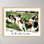 Saint Bernard Art Print