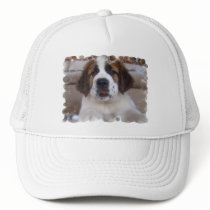 Saint Bernard Baseball Hat