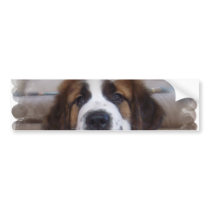 Saint Bernard Bumper Sticker
