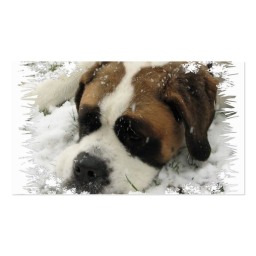 Saint Bernard Business Card (back side)