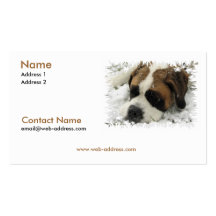 Saint Bernard Business Card