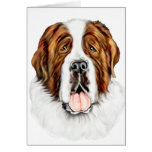 Saint Bernard Bust cards