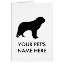 Saint Bernard Cards