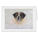 Saint Bernard cards by Catahoula Saint Bernard cards