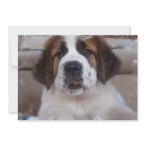 Saint Bernard Dog Invitation