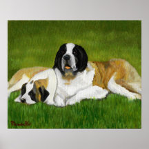 Saint Bernard Dog Portrait Print