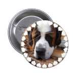 Saint Bernard Dog Round Button