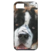 Saint Bernard Face iPhone 5 Vibe Case iPhone 5 Cases