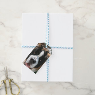 St bernard gifts Shop for the perfect st bernard gift from our wide selection of designs, or create your own personalized gifts.