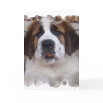 Saint Bernard Greeting Card