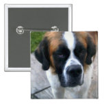 Saint Bernard Photo Square pin