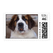 Saint Bernard Postage Stamp