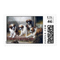 saint bernard puppies and turtle stamps