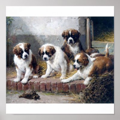 Saint Bernard puppies and turtle Poster by EDDESIGNS