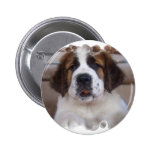 Saint Bernard Round Button