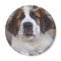 Saint Bernard Round Magnet