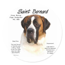 Saint Bernard (smooth) History Design Round Sticker