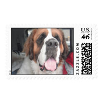 SAINT BERNARD STAMP