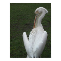 Saint James' Park posters
