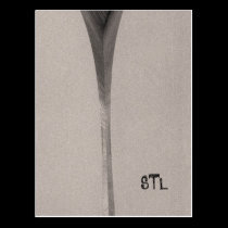 Saint Louis Arch postcards