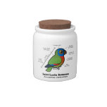 Saint Lucia Amazon Statistics Candy Jars