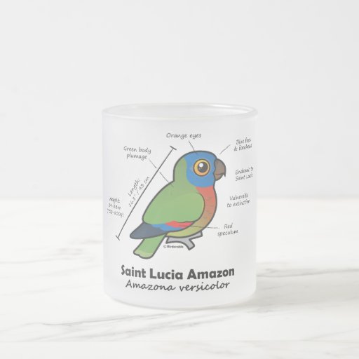 Saint Lucia Amazon Statistics Coffee Mugs
