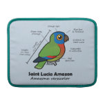 Saint Lucia Amazon Statistics MacBook Sleeve