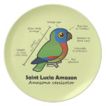 Saint Lucia Amazon Statistics Party Plate